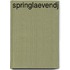 Springlaevendj