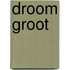 Droom groot