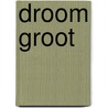 Droom groot door Terri Savelle Foy