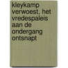 Kleykamp verwoest, het Vredespaleis aan de ondergang ontsnapt door Drs.P.A.J. Coelewij
