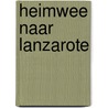 Heimwee naar Lanzarote door Anita Verkerk
