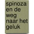 Spinoza en de weg naar het geluk