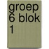 groep 6 blok 1
