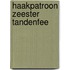 Haakpatroon Zeester Tandenfee