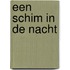 Een schim in de nacht
