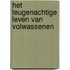 Het leugenachtige leven van volwassenen