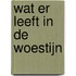 Wat er leeft in de woestijn