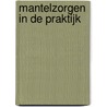 MantelZorgen in de Praktijk by R.H.A.A. Knubben