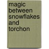 Magic between Snowflakes and Torchon by José van Pamelen
