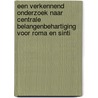 Een verkennend onderzoek naar centrale belangenbehartiging voor Roma en Sinti door Micky Out