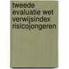 Tweede evaluatie Wet verwijsindex risicojongeren door N.O.M. Woestenburg