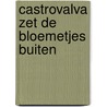 Castrovalva zet de bloemetjes buiten door A.R. Willemse