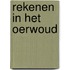 Rekenen in het oerwoud