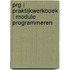 PRG | Praktijkwerkboek | Module Programmeren