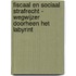 Fiscaal en Sociaal Strafrecht - Wegwijzer doorheen het labyrint