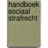 Handboek Sociaal Strafrecht