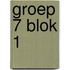 groep 7 blok 1