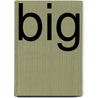 Big by Mireille Geus