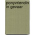 Ponyvriendin in gevaar