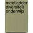 Meetladder diversiteit onderwijs