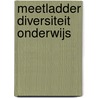 Meetladder diversiteit onderwijs door Trees Pels