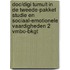DOC/DIGI Tumult in de tweede-pakket Studie en sociaal-emotionele vaardigheden 2 vmbo-bkgt