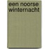 Een Noorse winternacht