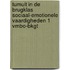 Tumult in de brugklas Sociaal-emotionele vaardigheden 1 vmbo-bkgt
