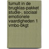Tumult in de brugklas-pakket Studie-, sociaal emotionele vaardigheden 1 vmbo-bkgt door Petra Jonker