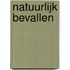 Natuurlijk Bevallen