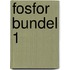 Fosfor bundel 1