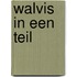 Walvis in een Teil