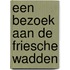 Een bezoek aan de Friesche Wadden