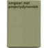 Omgaan met projectydynamiek