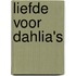 Liefde voor dahlia's