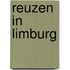Reuzen in Limburg