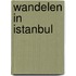 Wandelen in Istanbul