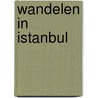 Wandelen in Istanbul door Marc Guillet