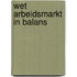 Wet arbeidsmarkt in balans