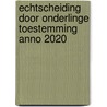 Echtscheiding door onderlinge toestemming anno 2020 door Patrizia Macaluso
