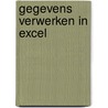 Gegevens verwerken in Excel by Wim de Groot