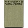 Kleine kwalen in de huisartsenpraktijk by Stefan Visscher