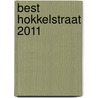 Best Hokkelstraat 2011 door T.P. Moesker