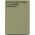 Transformatiestrategien in verouderde stadswijken.