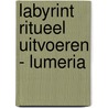 Labyrint ritueel uitvoeren - Lumeria door Klaske Goedhart