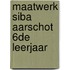 Maatwerk SIBA Aarschot 6de leerjaar