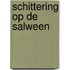 Schittering op de Salween