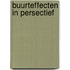 Buurteffecten in persectief