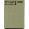 Rekenvoorbeelden Eurocode 2 by R. Braam