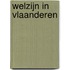 Welzijn in Vlaanderen